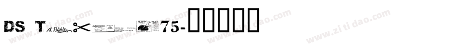 DS Ticket75字体转换